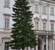 Weihnachtsbaum+Arnsdorf+%5b037%5d